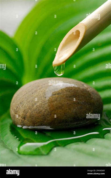 Water Dripping On Stone Stock Photo Alamy