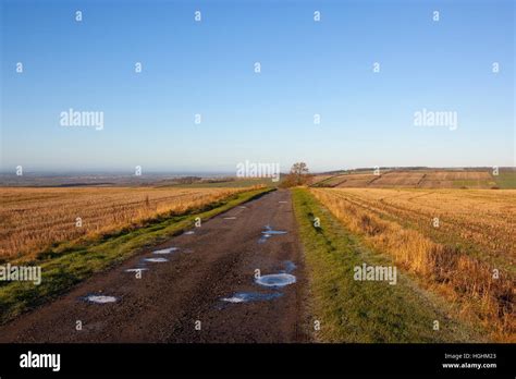 Frozen Puddles On A Farm Track Through The Scenic Landscape Of The
