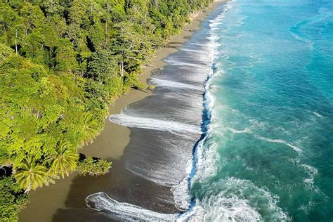 The Osa Peninsula In Costa Rica Wet And Wild Fun For Nature Lovers