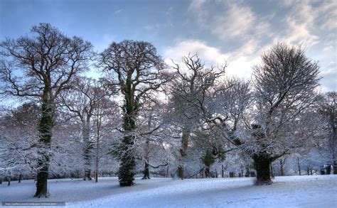 Pin By Pearlriver On Winter Winter Trees Hampshire England Winter