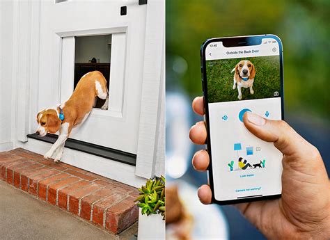Myq Pet Portal Might Be Worlds First Smart Dog Door For Your Home