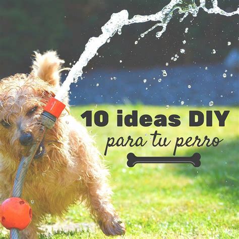 Juguetes Caseros Para Perros 10 Ideas Que Puedes Hacer Tú Handfie Diy