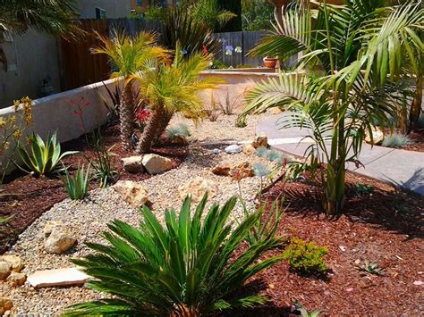 Easy Landscaping Ideas For Small Backyards Planted With Desert Plants