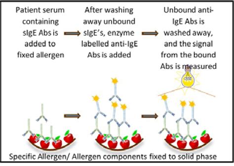 Figure 1 From Interpretation Of Ige Mediated Allergy Tests Rast