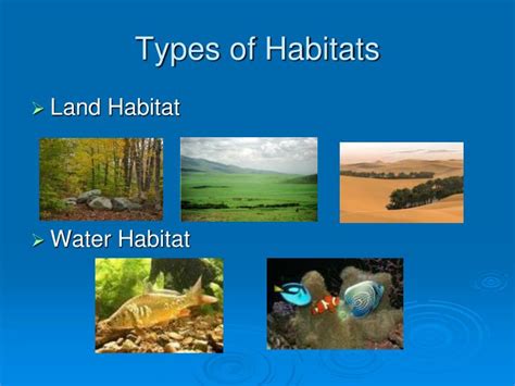 Four Types Of Habitats