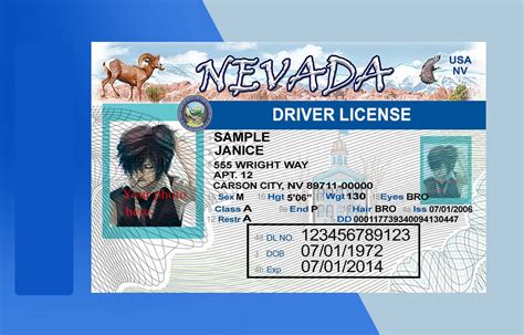 Nevada Drivers License Psd Template Download Photoshop File