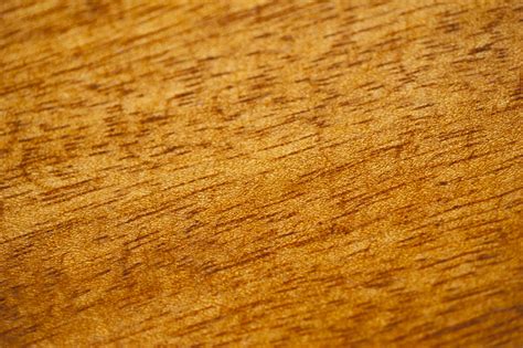 Free Image of Detail of Light Wood Grain | Freebie.Photography