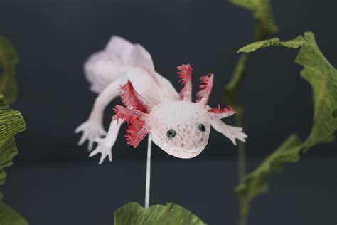 Paper Axolotl Faltmanufaktur Tina Kraus