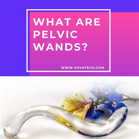 Pin On Pelvic Floor Physical Therapy