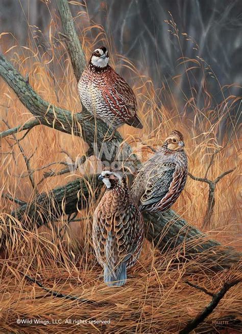Great Modern Wildlife Art Work Get More Curated Wildlife Art Pictures