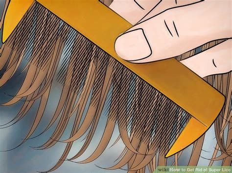 3 Ways To Get Rid Of Super Lice Wikihow