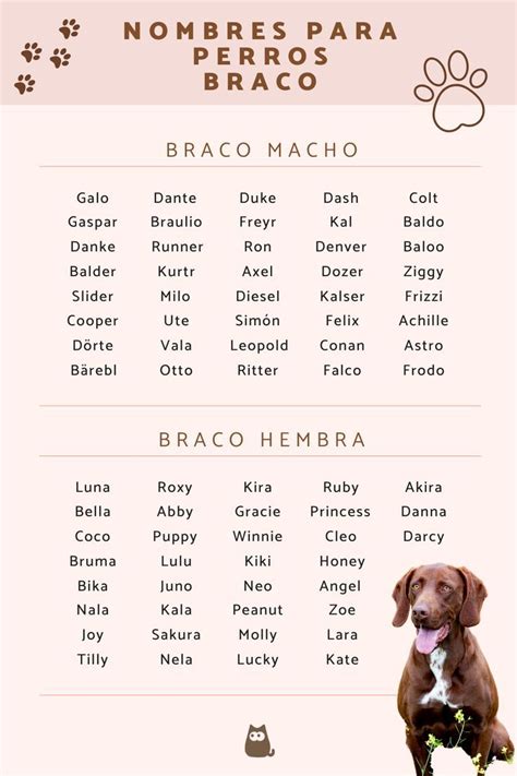 Nombres Para Perros Braco ¡más De 50 Ideas Nombres Para Cachorros Nombres Para Perros
