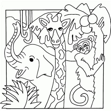 Jungle Animal Pictures To Print Coloring Home
