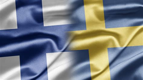 Sverige har 12 ledamöter i europeiska ekonomiska och sociala kommittén. Niandet är artigt eller nedlåtande - olika servicesvenska ...