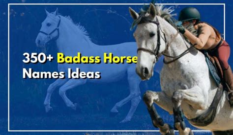 350 Badass Horse Names Youve Never Heard Of