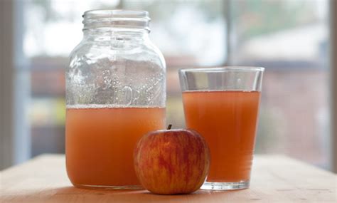 The healthiest foods and diets focus on real whole food. How to make homemade low sugar apple juice | Organic Baby ...