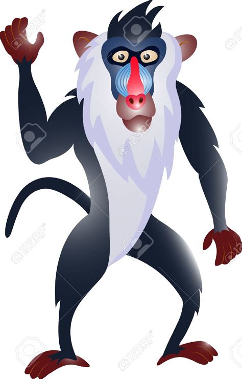 Download Mandrill Clipart For Free Designlooter 2020 👨‍🎨