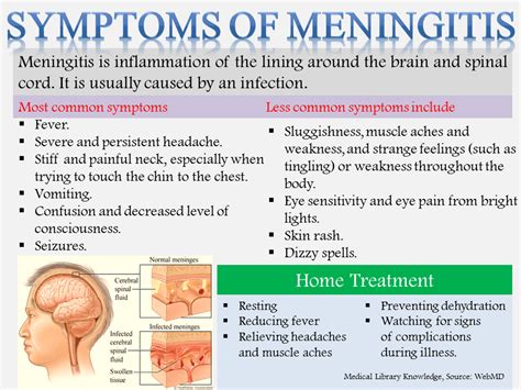 Meningitis Neurology Nursing Neonatal Nurse Meningitis