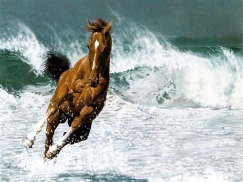 I didn't know there were brown arabians! Lovely-Brown-Horse-Running-Beach-Water-HD-Wallpaper.jpg ...
