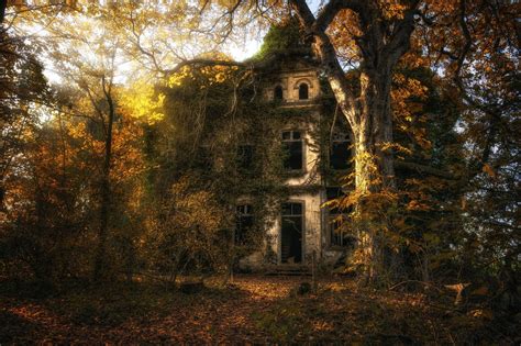 House Building Fall Trees Hdr Abandoned Overgrown Hd Wallpaper