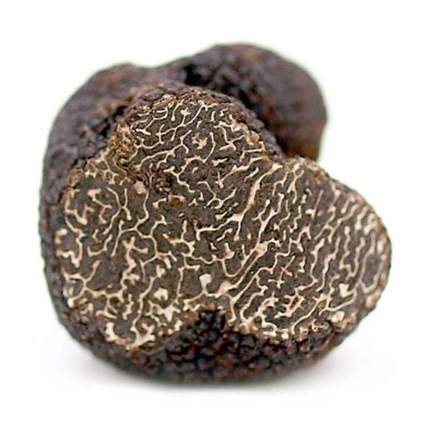 A truffle is the fruiting body of a subterranean ascomycete fungus, predominantly one of the many species of the genus tuber. Black Truffle Mushrooms - District Fruiterers
