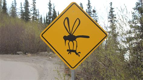 Witty Signs Keep Drivers Focused On Tricky Alaskan Road