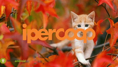 Coop e Ipercoop: volantino da pazzi con tanta tecnologia in offerta