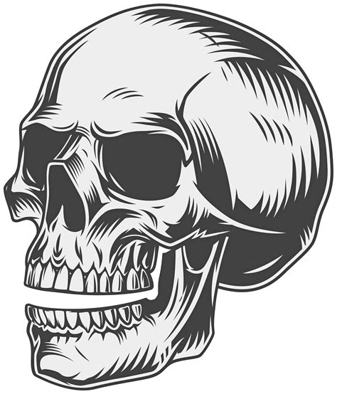 Skull Png Clipart Gallery Yopriceville High Quality
