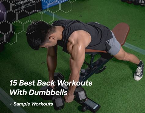 15 Best Back Workouts With Dumbbells Sample Workouts Fitbod