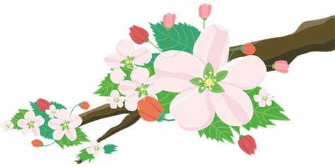 Apple Blossom Tree Clipart