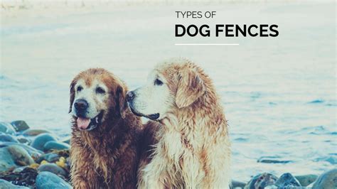 Different Types Of Dog Fences Pet Stop Dog Fence Company