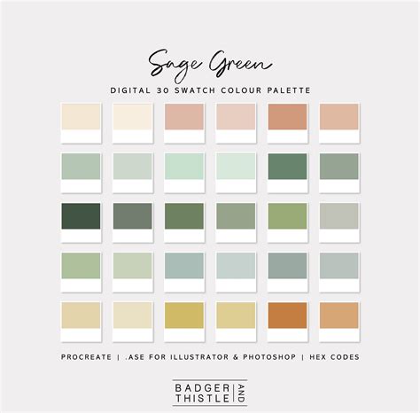 Sage Green Digital Colour Palette Swatches Download Procreate Photoshop