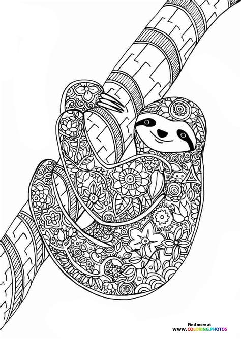 Sloth Coloring Page For Adults Coloring Pages For Kids