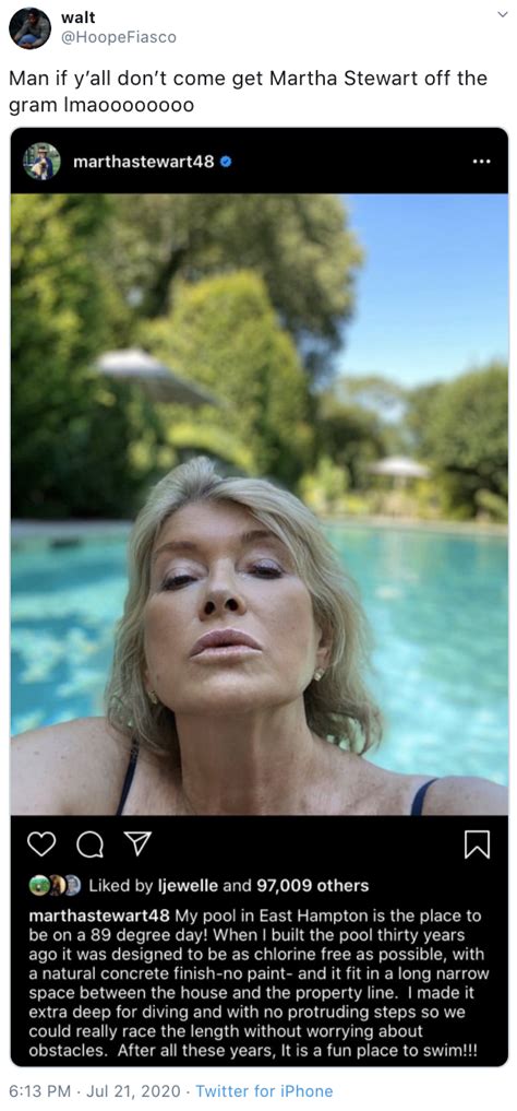 Martha Stewart Pool Thirst Trap Vision Viral