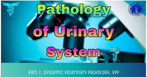 Pathology Of Urinary System
