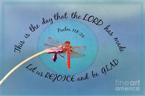 Dragonfly Within The Eye Of God Photograph By Diann Fisher Fine Art