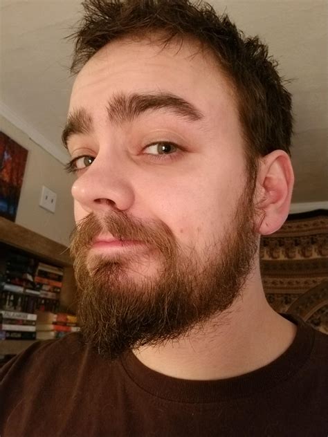 First True Beard Growing Attempt Any Trimminggrooming Tips While I