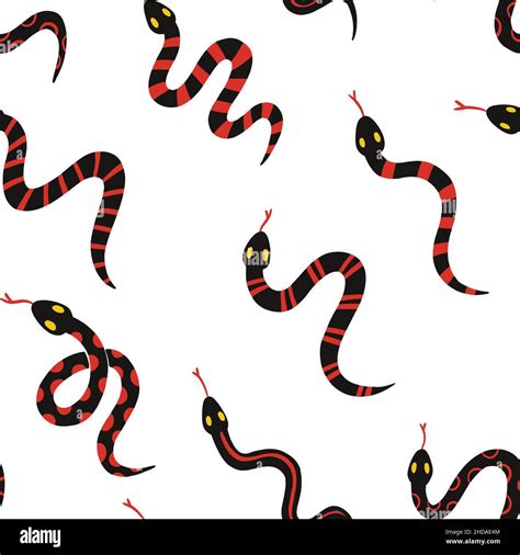 Coral Snake Coral Snake Stock Vector Images Alamy