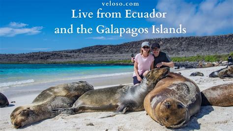 Live Reports From Ecuador And Galapagos Islands With Veloso Tours Youtube