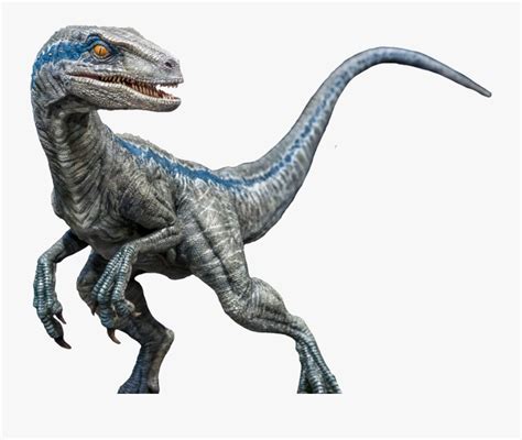 Blue By Jacksondeans Jurassic World Velociraptor Transparent Free