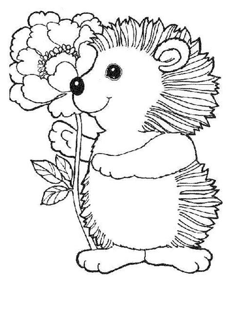 Hedgehogs Coloring Pages 21 Coloring Kids Coloring Kids