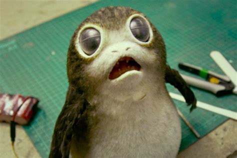First Look At Baby Porgs In ‘star Wars The Last Jedi