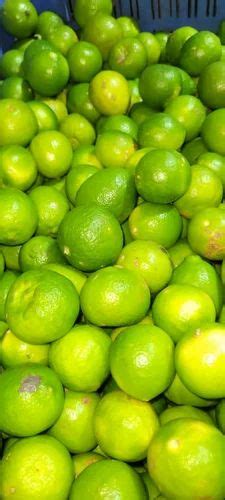 A Grade Maharashtra Export Quality Lemon Rs 745 Packaging Size 65