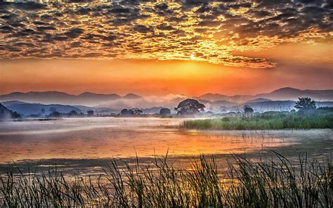 Sunrise Landscape Photography Early Morning Swamp