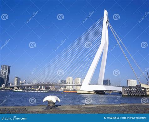 The Erasmus Bridge Erasmusbrug Rotterdam Netherlands Editorial Stock