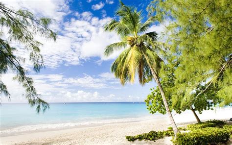 Read Our Guide To The Best Beaches In Barbados As Recommended By