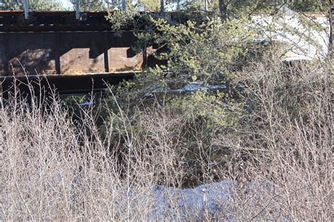 Frequently asked questions about glenn jackson bridge. Bridgehunter.com | UP - Glenn Creek Bridge