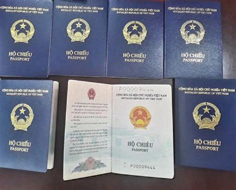 Four More Countries Accept Viet Nams New Passport With Added Birthplace Information
