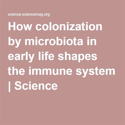 How Colonization By Microbiota In Early Life Shapes The Immune System