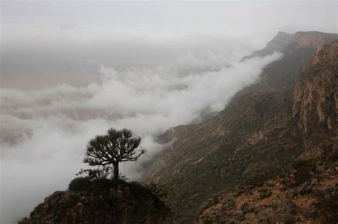 A Festival Amid The Fog Draws Tourists During Omans Cool Monsoon Season
